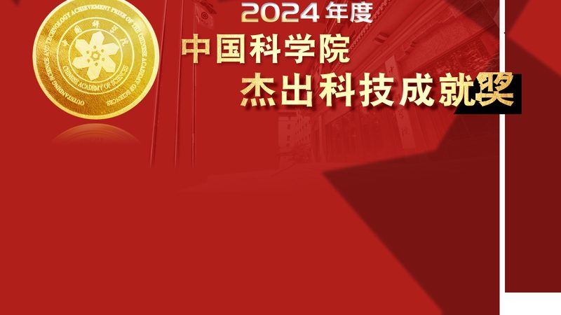 北京数字化解决方案：性价比背后的考量因素